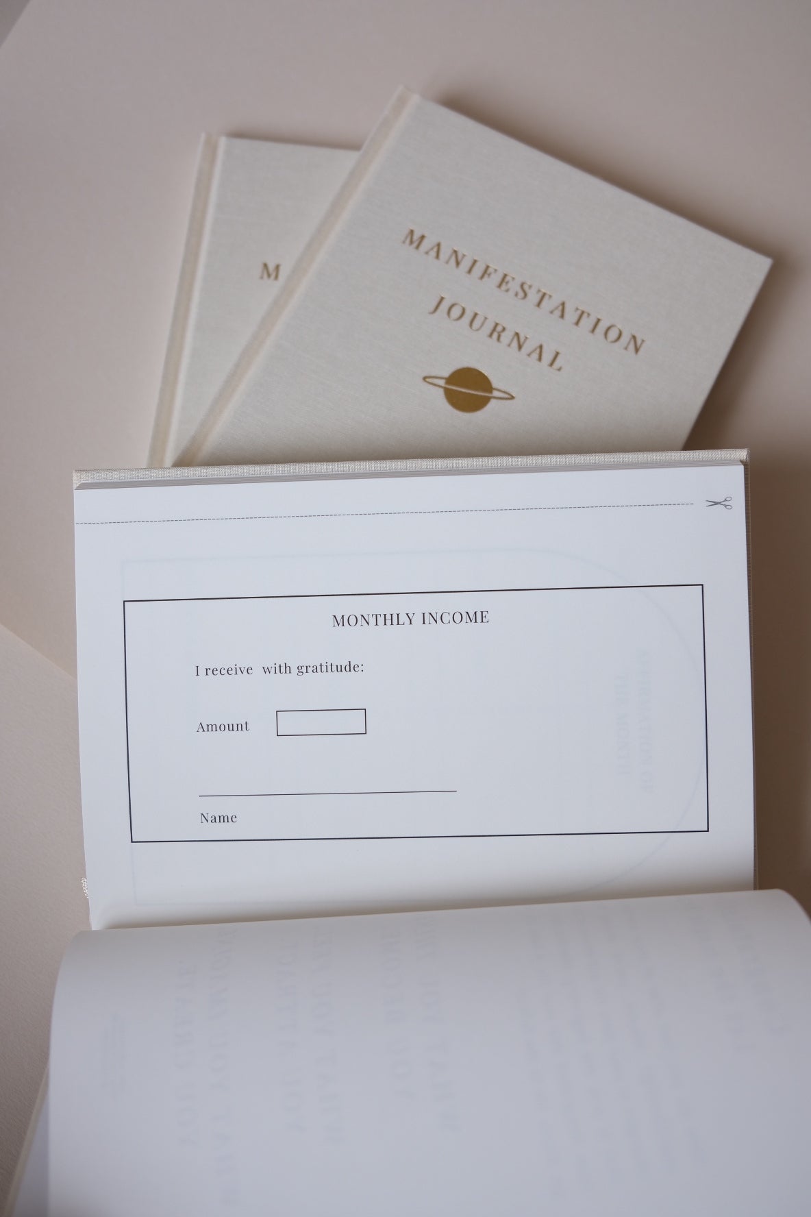 THE LIFE BARN Manifestation Journal: No dream is too big
